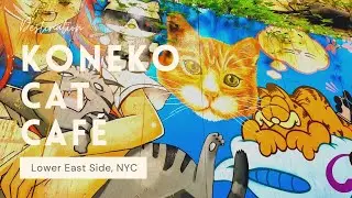 Koneko Cat Cafe - NYC