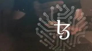 Tezos ICO_ покупка токенов_подробная инструкция_06.07.2017
