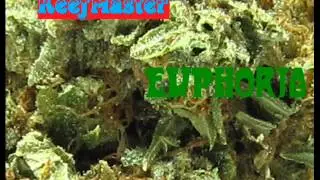 Keef Master - Euphoria