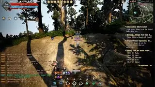 Awk Wizard Protecting people from my Decs ; Clip from when I was Sacred hunting decs
