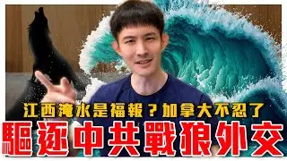踢鐵板！中共戰狼外交官被驅逐！遭列不受歡迎｜粉紅暖心送頭喊五筒｜江西淹水微博壓熱搜｜粉紅特報024期｜波特王好帥