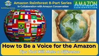 Ep. 8 | How to Be a Voice for the Amazon: Tips That Will Make a Difference