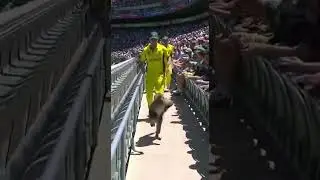 Monkey Steals the Ball! 🐒 Hilarious Interruption in Australia vs Pakistan Match