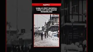 Shimla Turns Into Winter Wonderland With Season's First Snowfall; Daily Life Disrupted