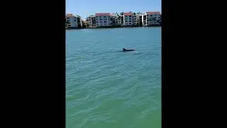 Salty Pelican Boat Tour 2025