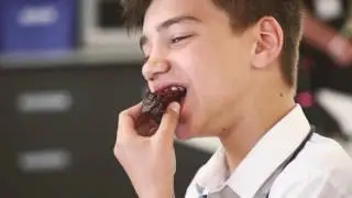 Ministry of Cake