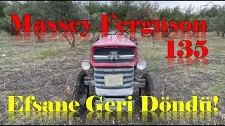 Massey Ferguson 135’i Baştan Sona İnceledim | Bu Traktör Neden Hâlâ Popüler? #masseyferguson135