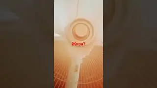 пиздец я маленький сейчас 💯 проц клиентов нет жиза? #розовыйбаклажан #клоун #стрингер #вентилятор