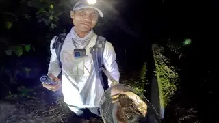 MANCING PASANG TAJUR DAN TANGKAP KATAK LEMBU UNTUK MAKAN MALAM!