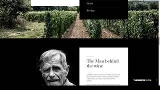 Saras - Wine WordPress Theme bar vineyard Website Builder