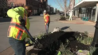 City of Springfield kicks off 2025 Clean Green initiative