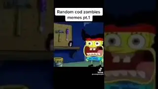 Random cod zombies memes