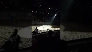 Medieval Times Toronto Fight