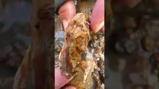 Finding Natural Beautiful Agate Gemstone In River Near The Mountain  #mining #crystal #agate #quartz