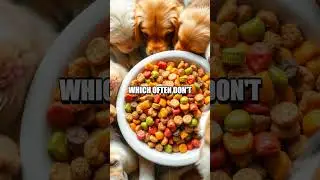 Understanding Pet Food Labels: What Matters Most