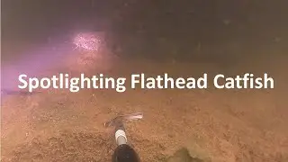 Spot Lighting Flathead Catfish: Greers Ferry Lake, Arkansas - Spearfishing and  Anchor Recovery