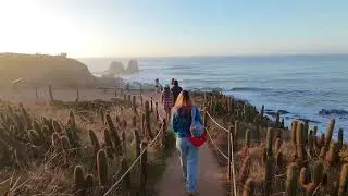 Estos paisajes &uacute;nicos! 😍🇨🇱&nbsp;#nomadedigital #ViajeconGato #Pichilemu&nbsp;#metodoglean&nbsp;#gleaner Dji