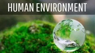 Human Environment - Settlement Transport and Communication | Class 7 Geography