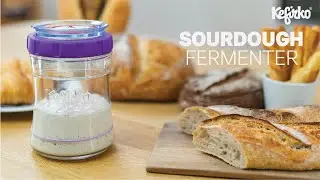 Проект на Kickstarter, который нам нравится: ферментер для закваски