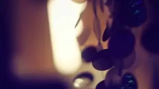 Fiancee Tv - Nicole Neumann