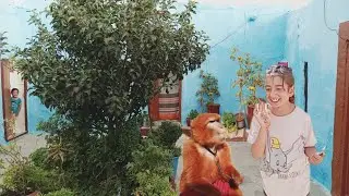 فلوق السفر😍واخيرا سافرنا الى قرية بزضاض🏞إقليم الصويرة⛰️
