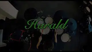 TEASER - Harald - Dani California - Red Hot Chili Peppers - Drum Cover