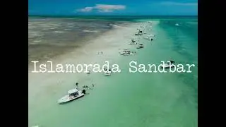 Haulover Sandbar Mini Pontoon Rentals