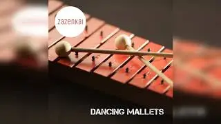 Zazenkai - Dancing Mallets (Percussion Background Music)