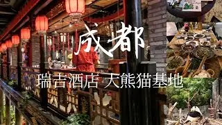 【天府之国】成都之旅2 瑞吉酒店 高级早餐 大熊猫基地 宽窄巷子 火锅 小龙翻大江 KSM VLOG #5