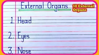 External Organs | 10 External Organs | Ten External Organs | External Organs name