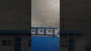 Tornado Hits Cangzhou, Hebei, China - Jul. 2, 2025