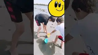 Epic Crab Adventures: Kids Stumble Upon Unseen Wonders