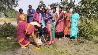 Telangana Rituals in Farming #Govindhakottadam #farming #rituals #polampuja #rythulu #Rythujivitham 