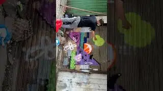 Kalimantan Graffiti