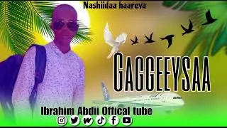 ##New #nashiida Haaryaa oromiya je,atuu guutu isii khunoo subscribe walifi  godhaa million 