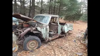 1954 Ford Field find!