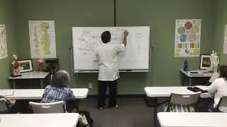 Medical Qigong 101   001