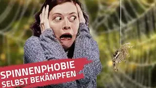 Spinnenphobie selbst bek&auml;mpfen | Spinne die dir helfen kann, deine Angst selbst zu besiegen!
