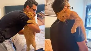 &ldquo;Does Your Cat Love You They Say Yes&rdquo; - Cute Way Cat Show Love To Owner