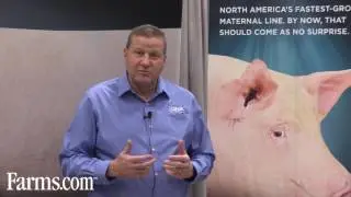 DNA Genetics Maternal Vision