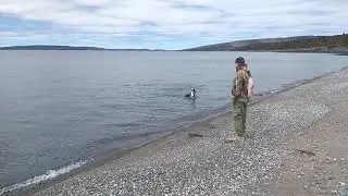Schreiber Beach Part 1