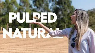 Pulped Natural Process - One Shot About Coffee #019