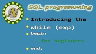 How to use the WHILE loop in SQL Server for beginners.