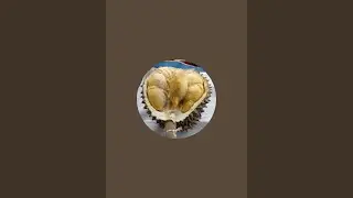 bibit durian duri hitam