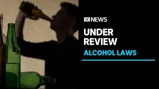 Remote NT town of Tennant Creek hosts public hearing over alcohol policy | ABC News