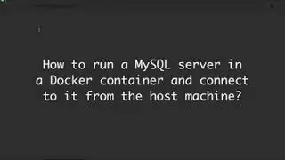 How to run a MySQL server in a Docker container and connect to it from the host machine