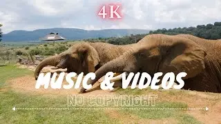 No Copyright Nature Music/Free 4k VideosDownload & Creative Commons |Nature Drone Shots/AerialVidsSl