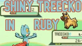 LIVE Shiny Treecko Starter in Pokemon Ruby after 5,759 & 2 Pooches
