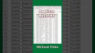 Duplicate Data Excel Sheet | Excel Tricks #shorts #short #newexcel #excelshortcuts #datasheets