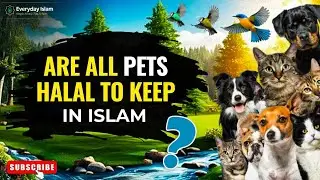 🐕 Are All Pets Halal to Keep in Islam? &ndash; The Shocking Truth Revealed!